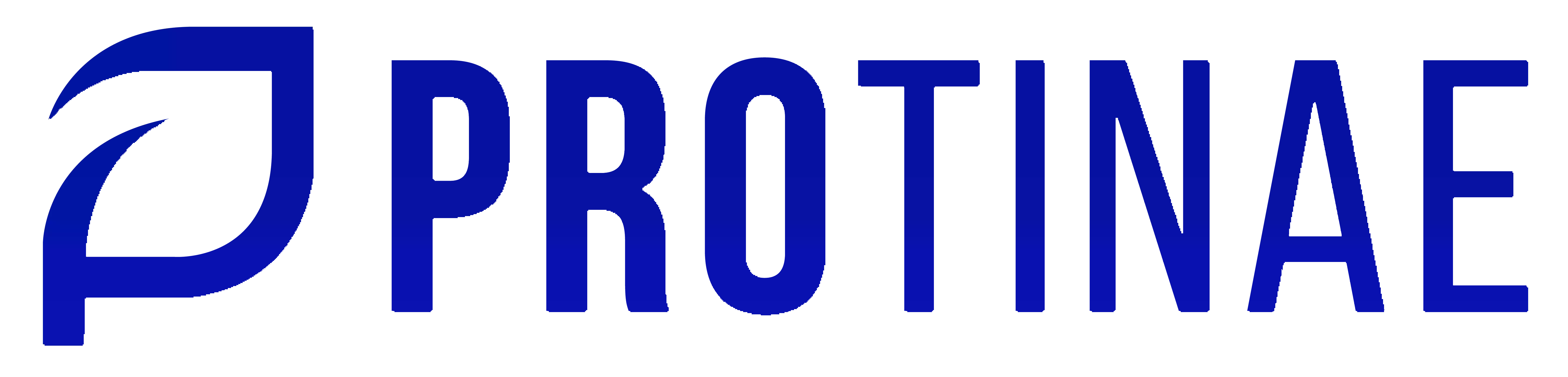Protinae